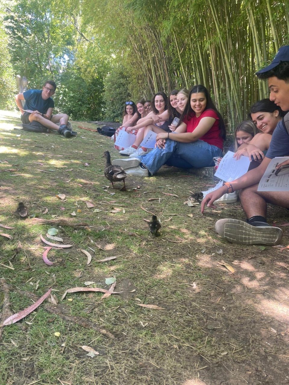 Group of my students sitting park for Portuguese lesson with Stella. Little ducklings are walking up the grass to join us for some basic Portuguese. 