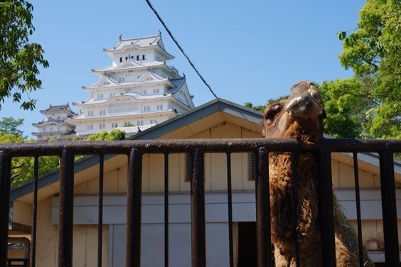 himeji2