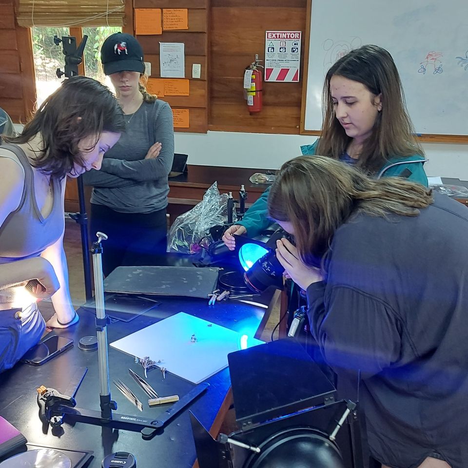 monteverde stem students lab