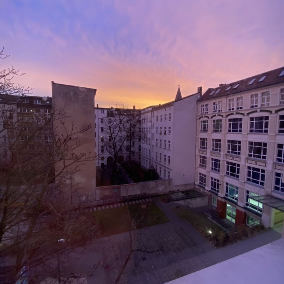 purple dawn berlin