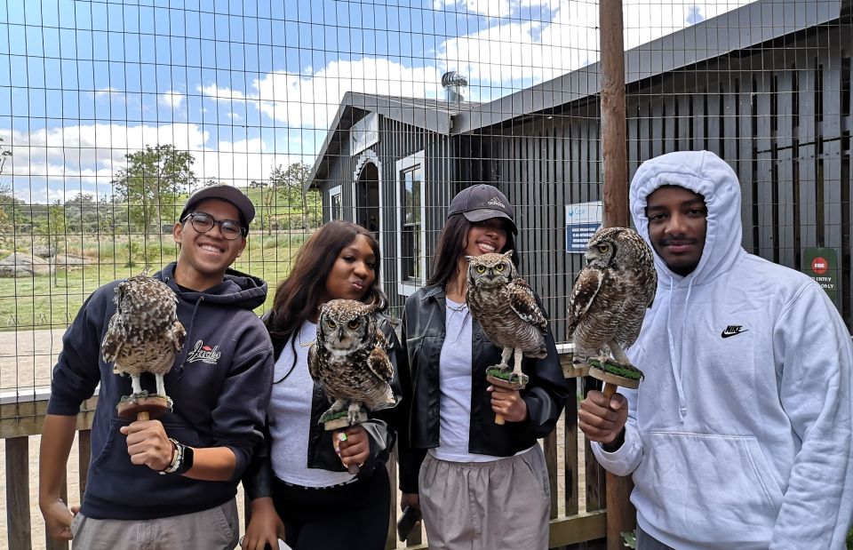 south africa students abroad owls