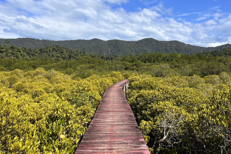 Long red bridge cutting through a green, marshy landscape with mountains in the background