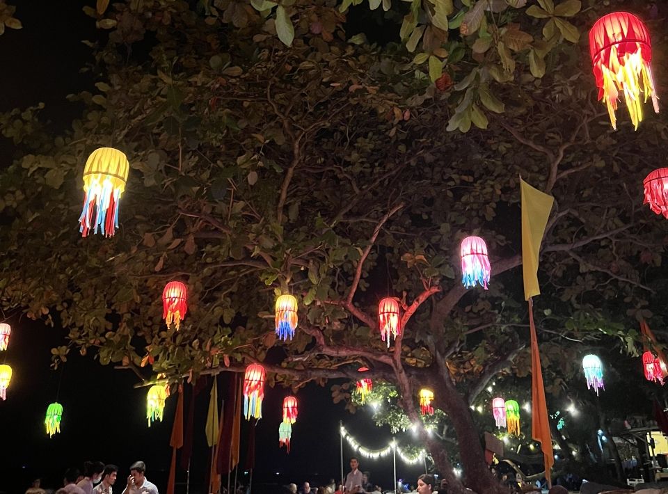 Jellyfish lights illuminating a beach bar at night.