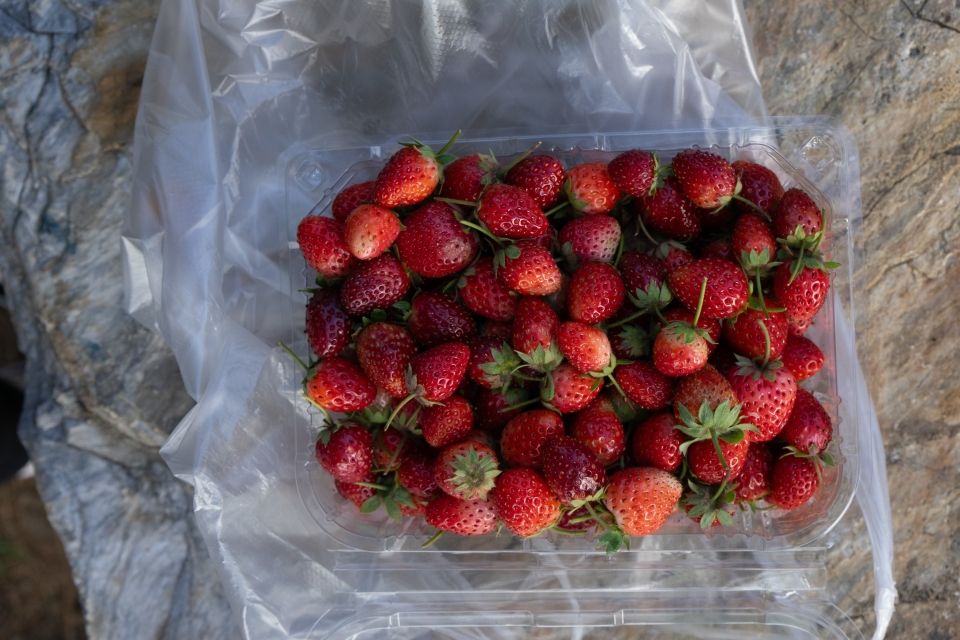 Basket of strawberries. 