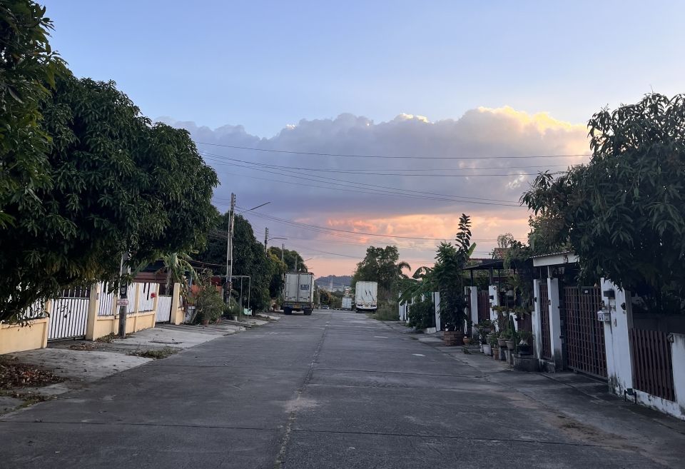 View of the street in my village! Pavement road with houses along the sides and a blue sunset