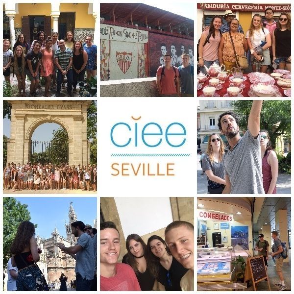 seville collage abroad group