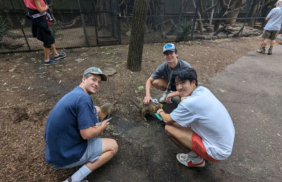 sydney zoo abroad students