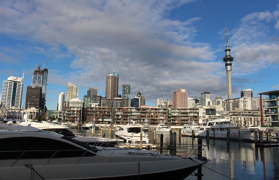 new zealand skyline