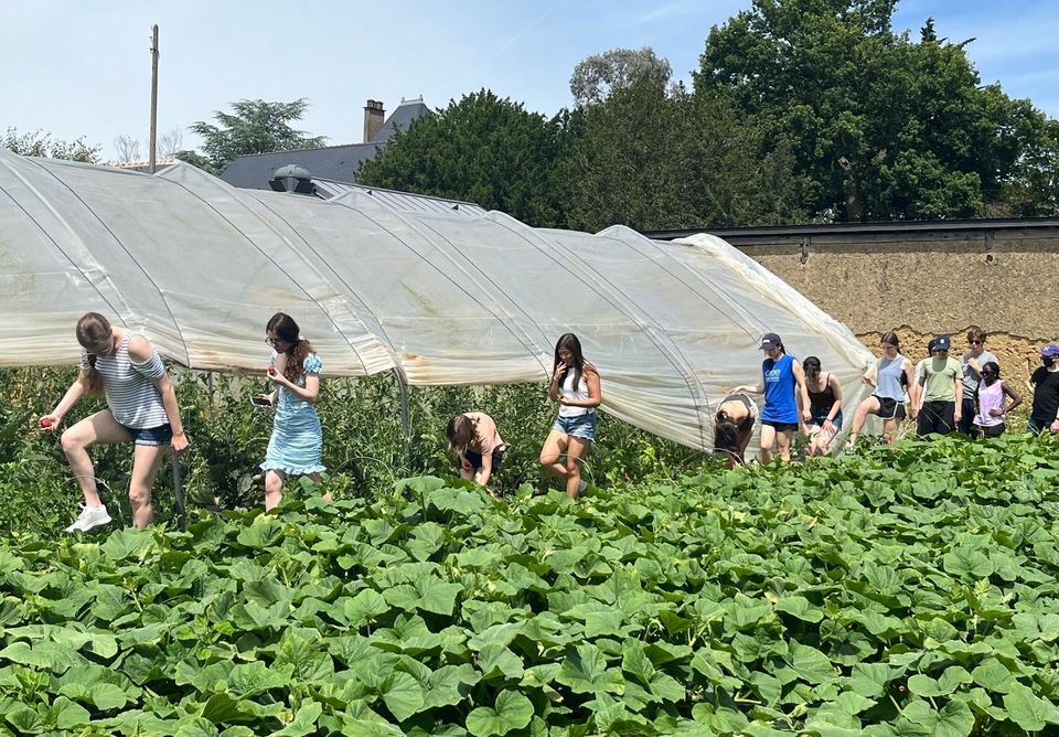 Tour du jardin