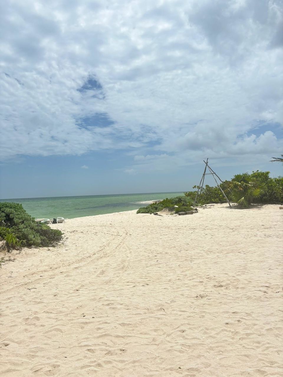 The beach