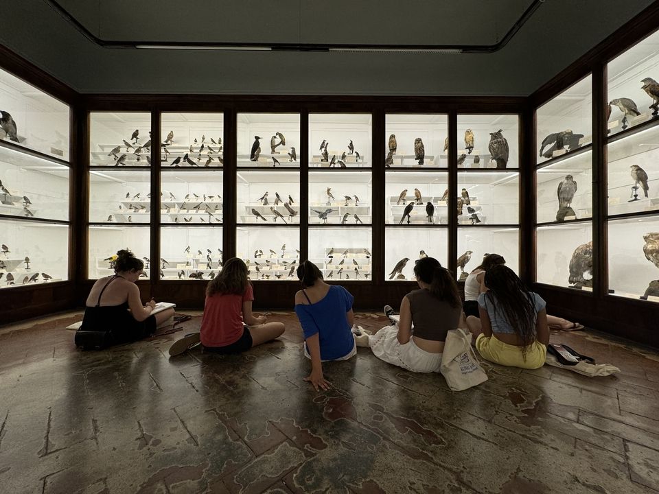Museum