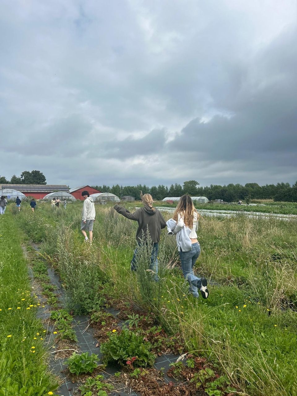 Students on Yduns Havn.