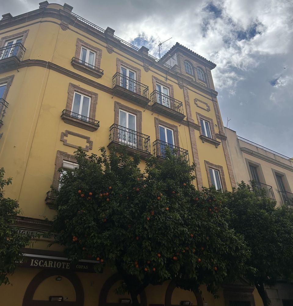 Sevilla street