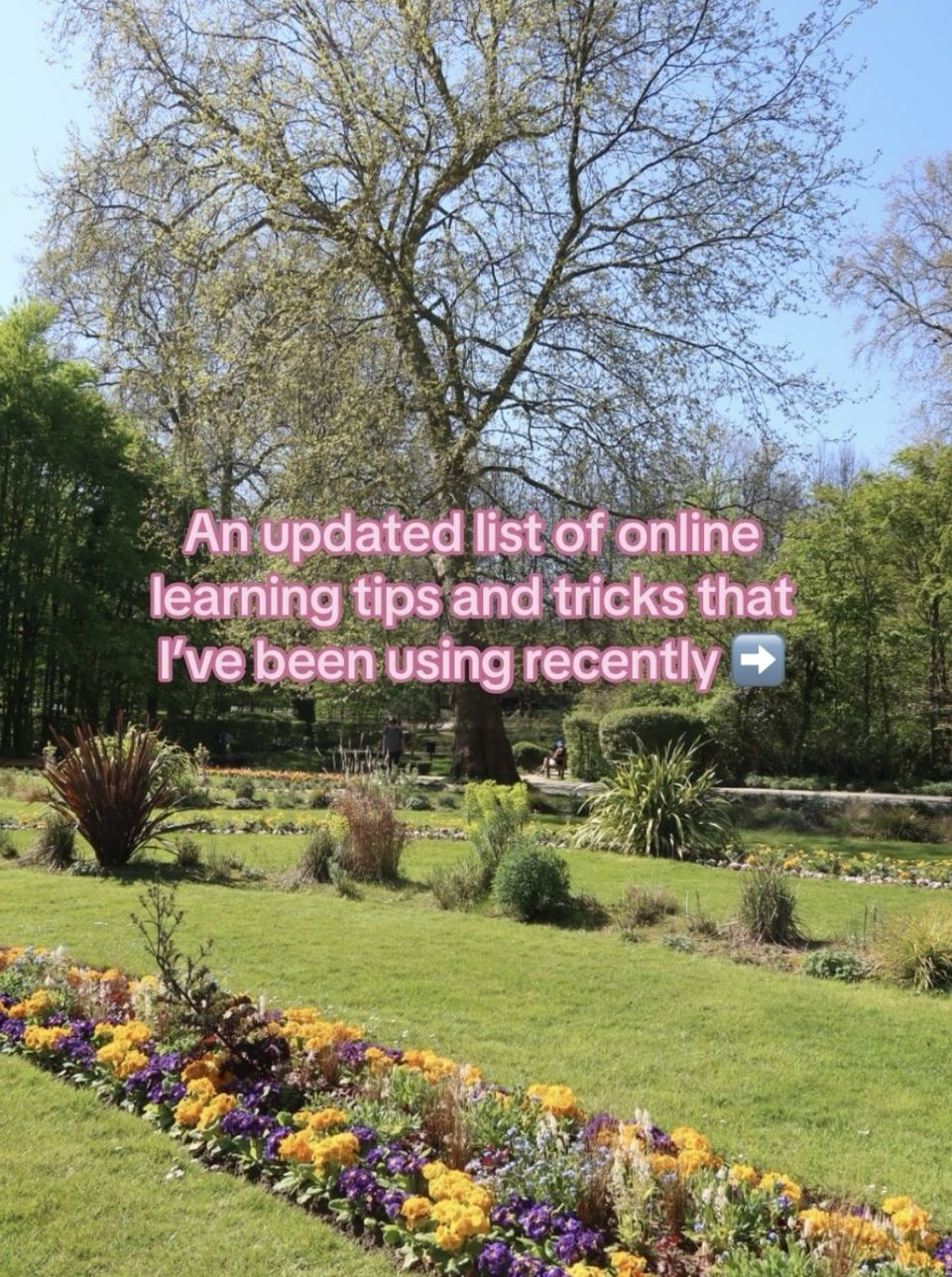 ASU online CIEE tips study abroad