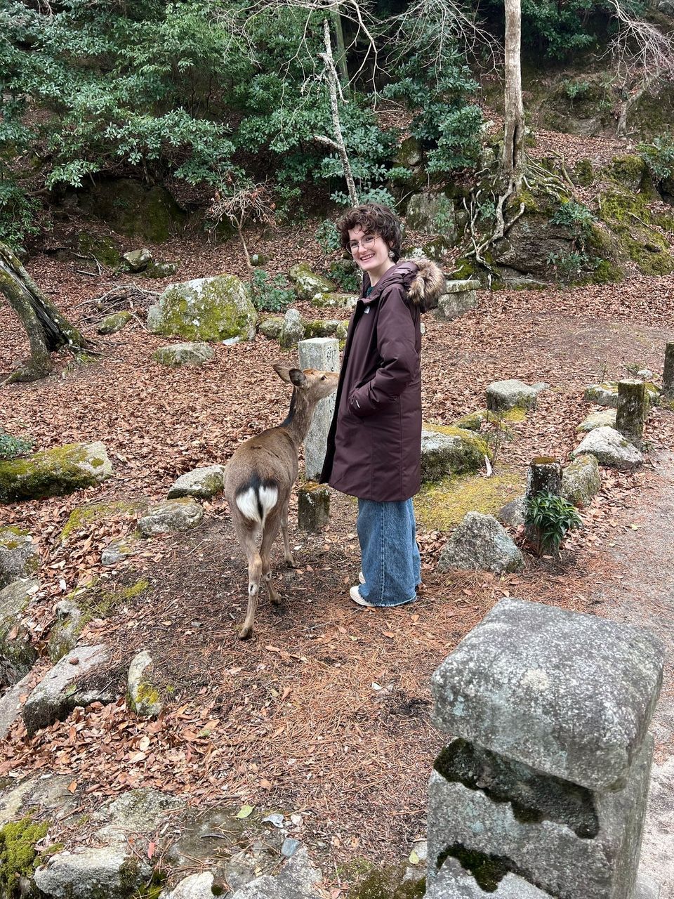 Miyajima2