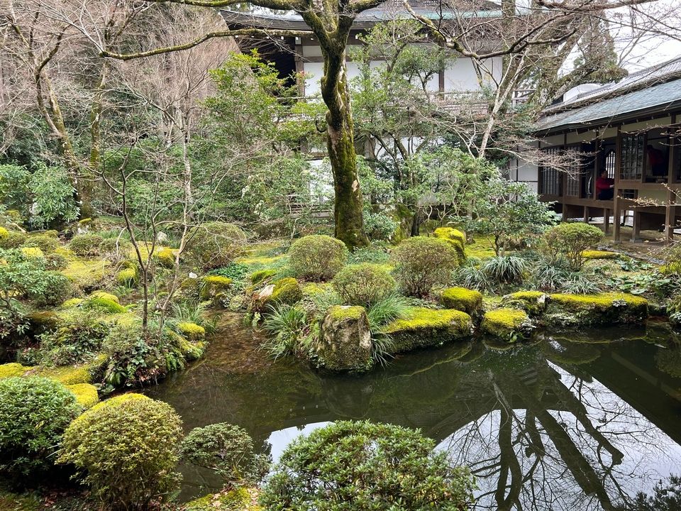 Ohara(2)
