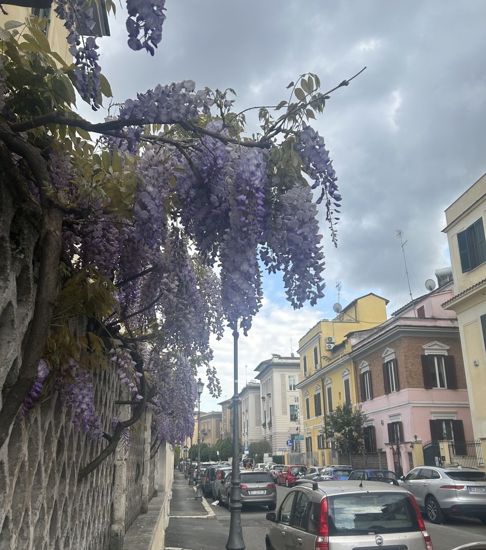 rome