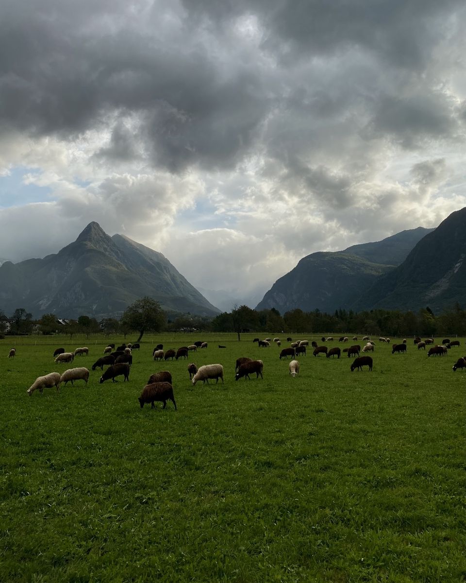 National Park Slovenia