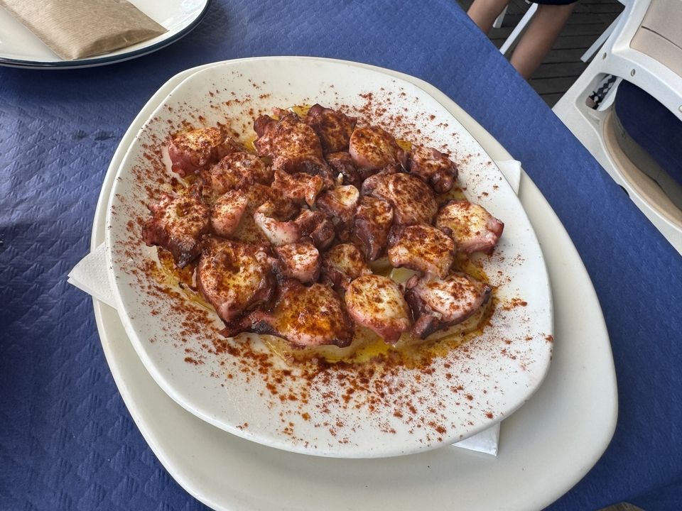 Octopus