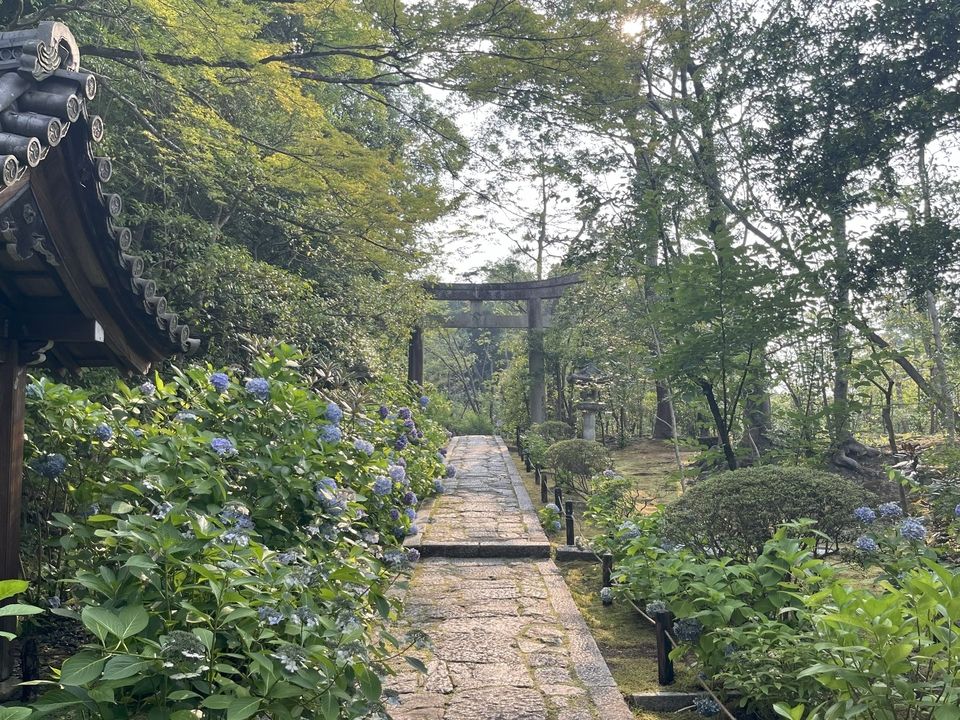 Tori Gate