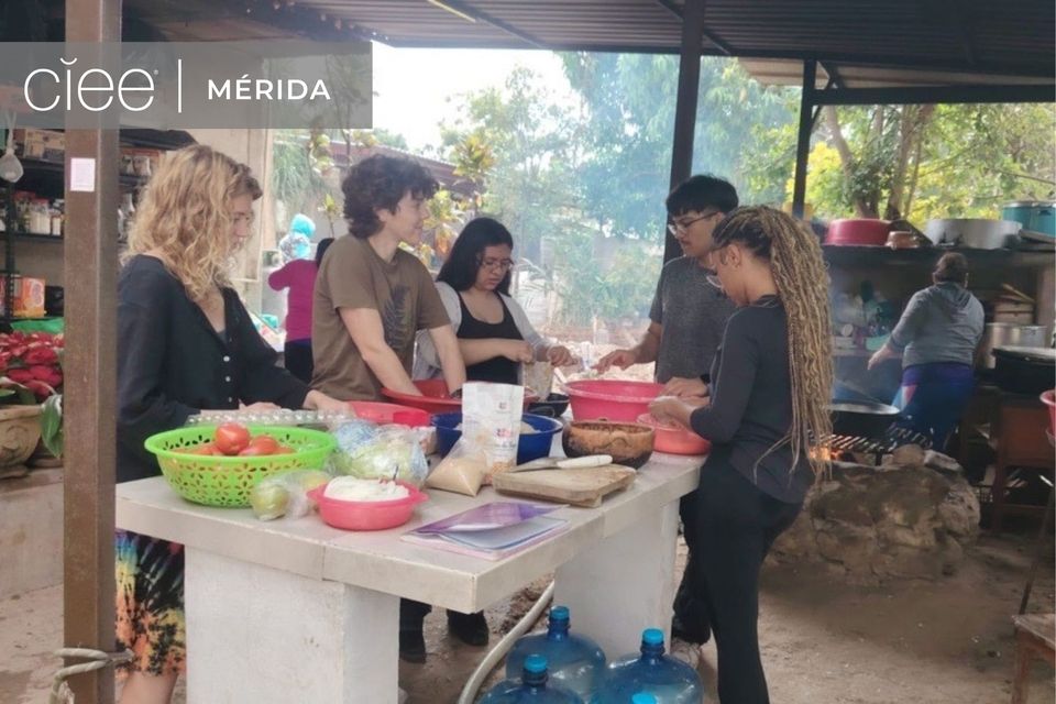 CIEE Community Impact Week Highlights Spring 2026 - Merida