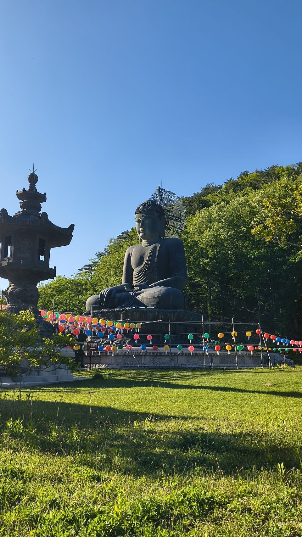 The Buddha Statue