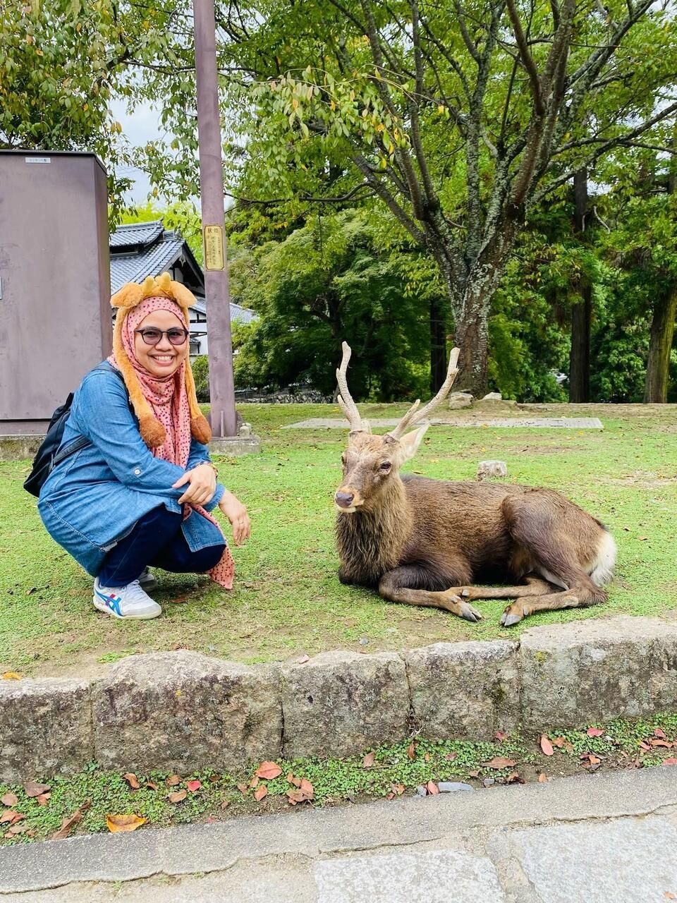 Deer