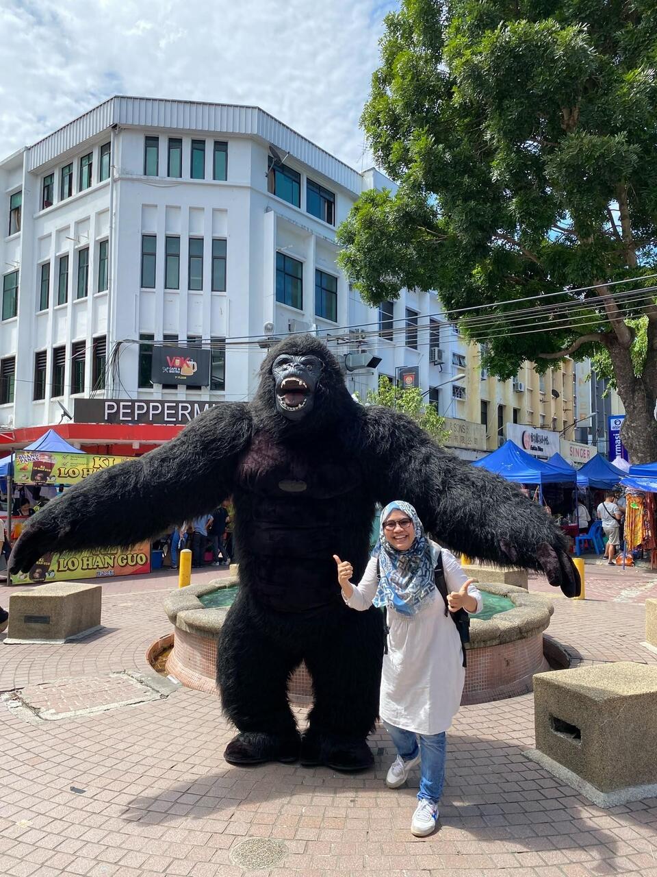 Picture with Gorilla