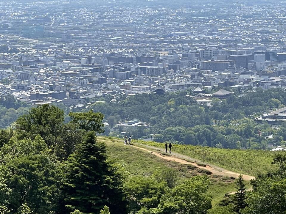 nara park2