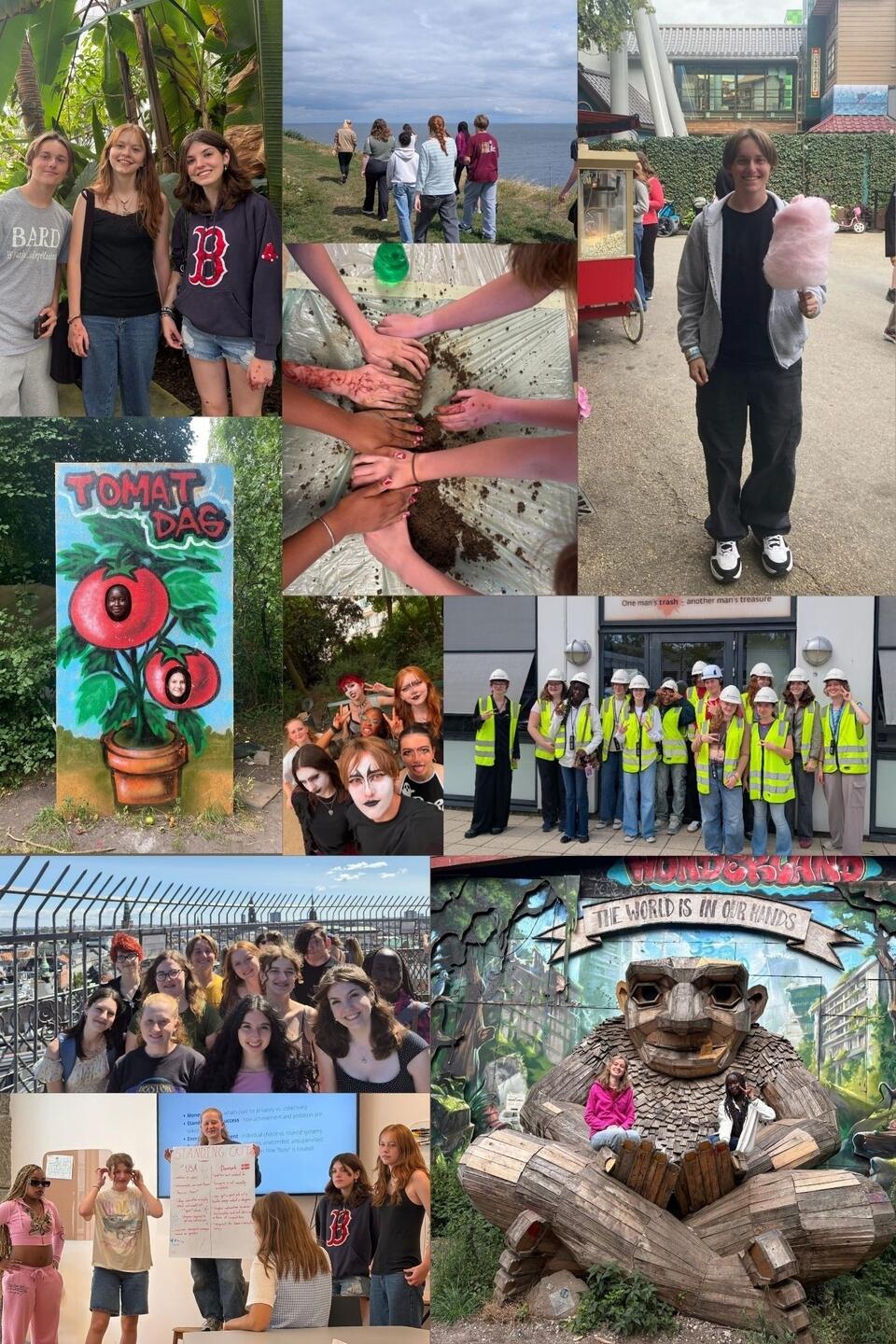 HSSA ENSUS final collage 