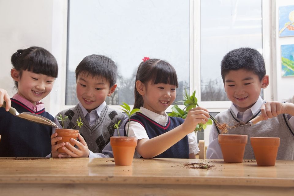Kids putting plants in pots in classroom