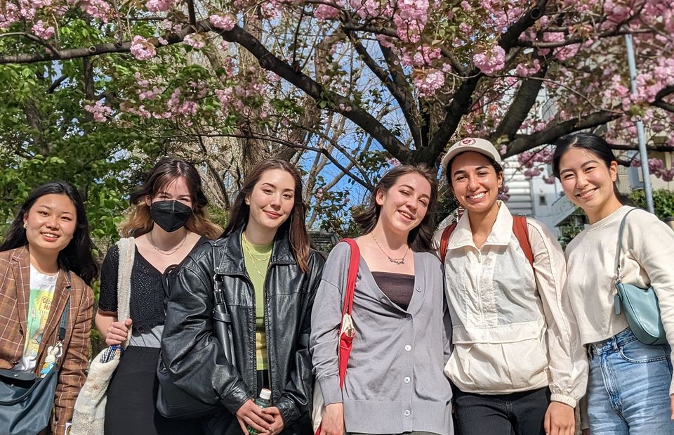 study abroad tokyo students cherry tree