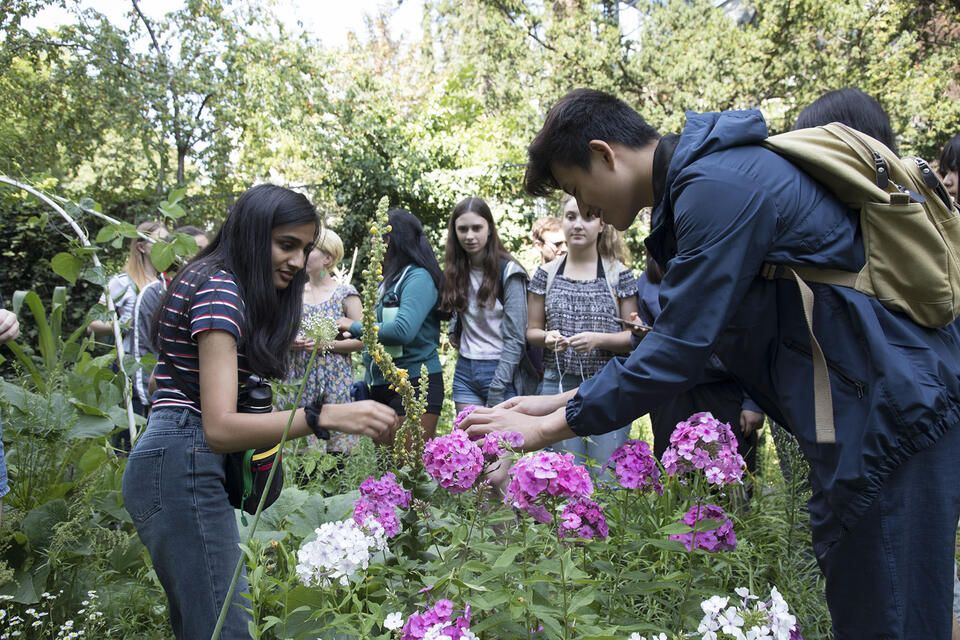berlin_botanical-garden.jpg