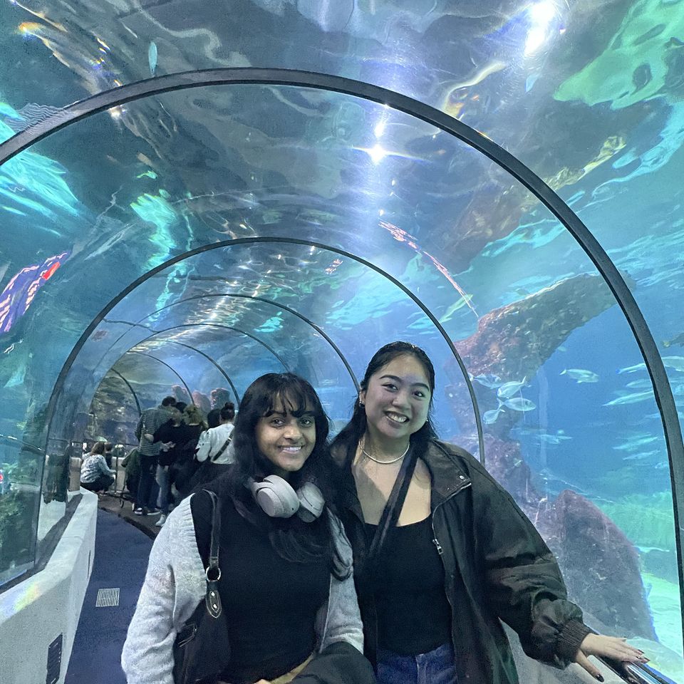 spain aquarium students abroad