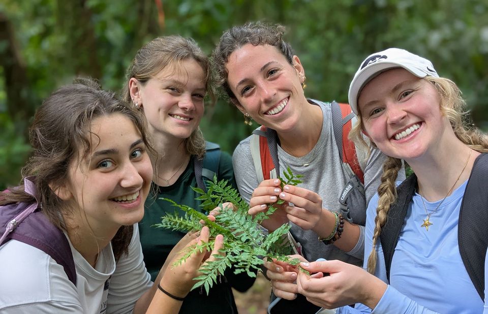 monteverde abroad environmental studies