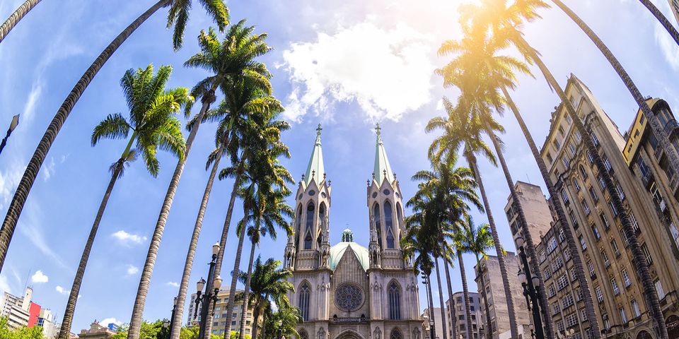 sao paulo study abroad sunshine street