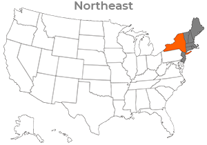 State map for new york